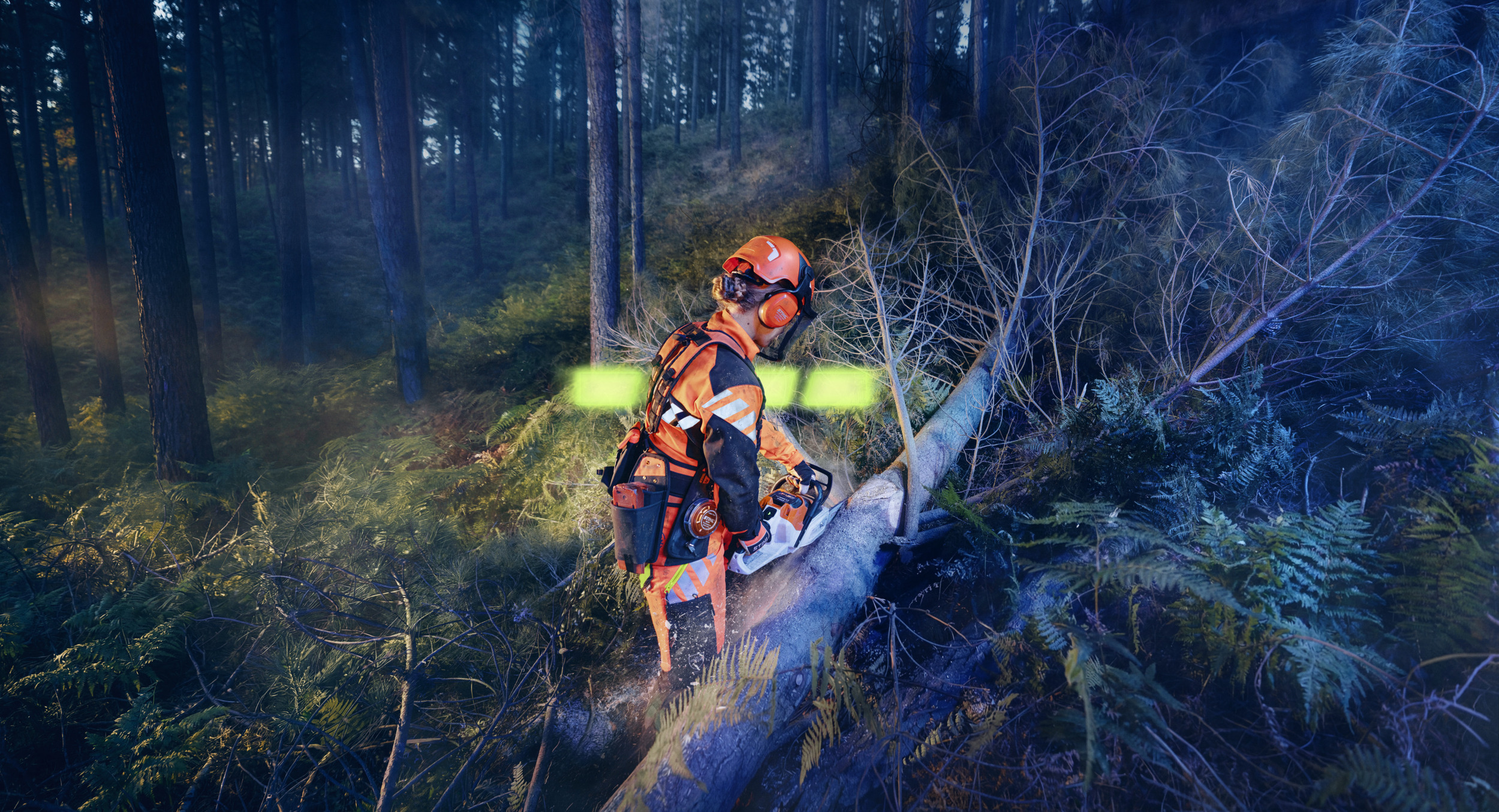 STIHL ALLPRO i brug på MSA 260 under skovarbejde