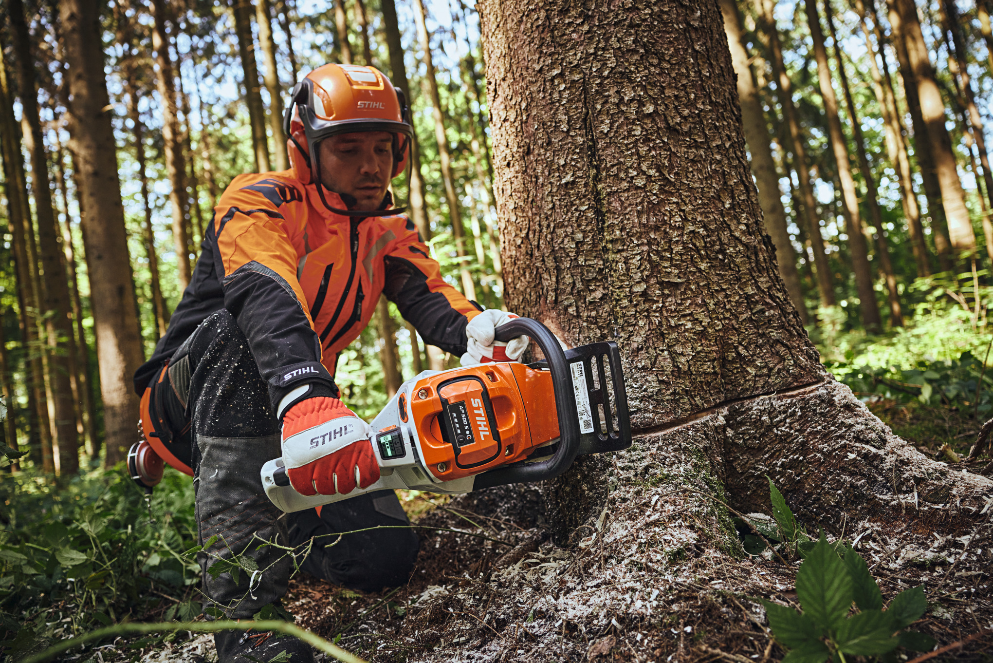 En mand iført STIHL beskyttelsesudstyr saver en træstamme