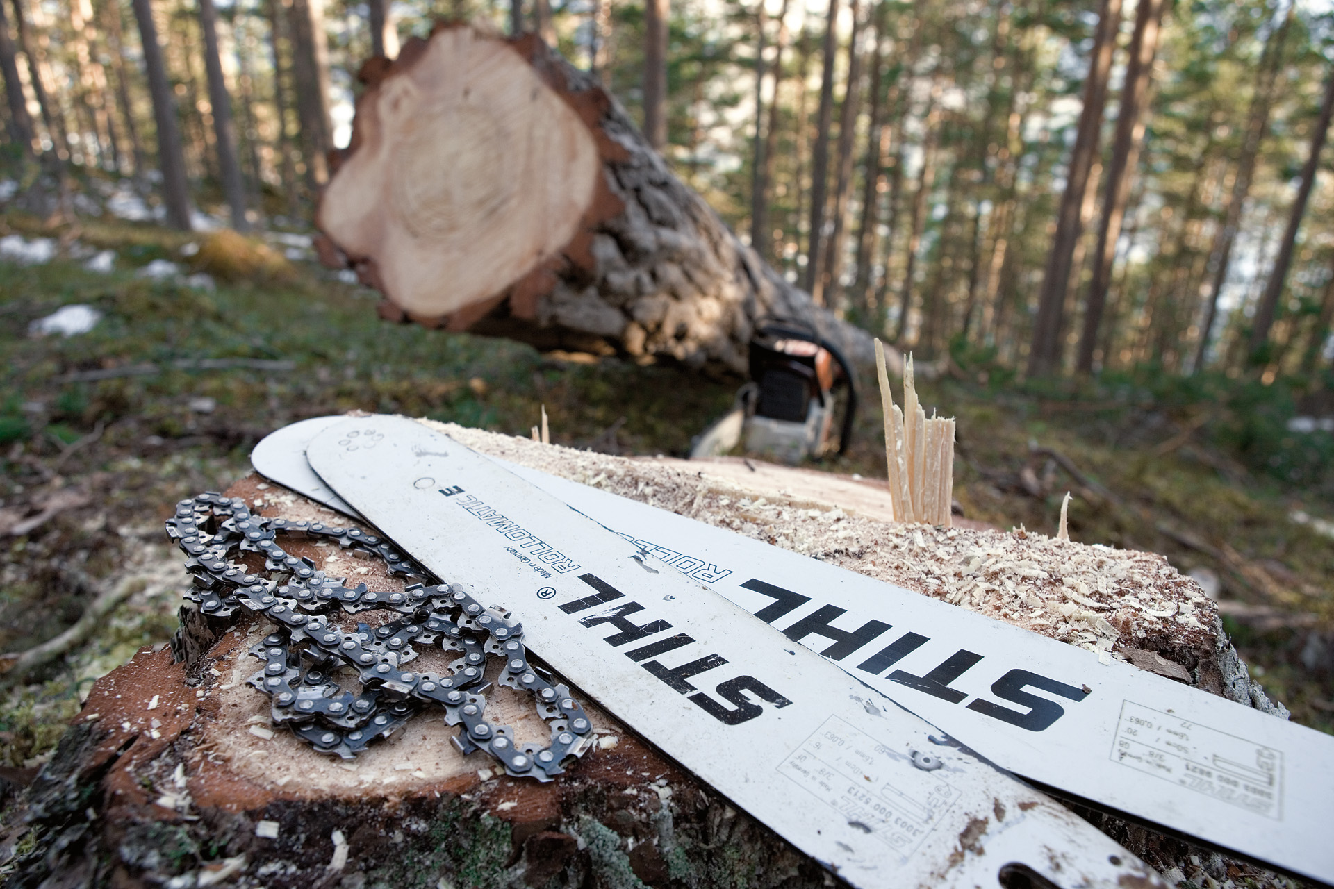 To Rollomatic-sværd og savkæder ligger på en træstub i skoven.