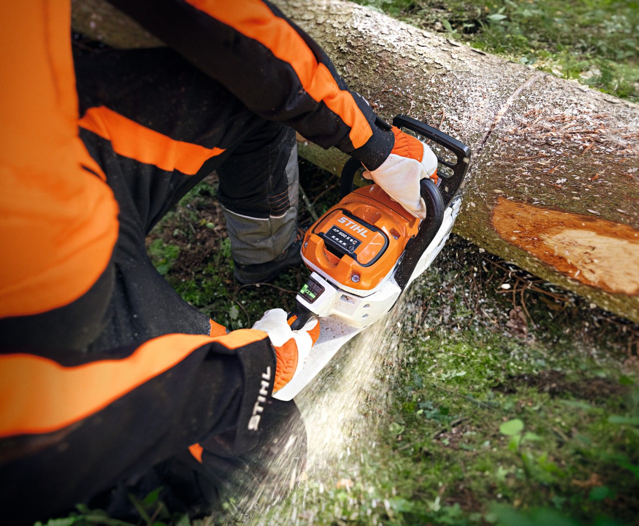 Nærbillede af en person, der skærer gennem en træstamme med STIHL MSA 300 batterisav