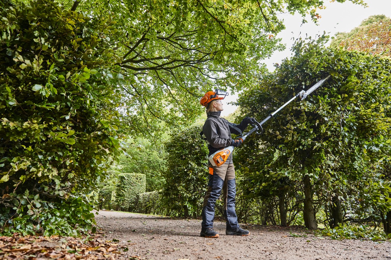 En gartner og landskabsarkitekt beskærer en hække med en STIHL HLA 135 batteridrevet hækkeklipper.