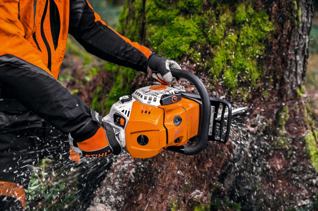 Nærbillede af mand med motorsav STIHL MS 500i, der skærer en træstamme