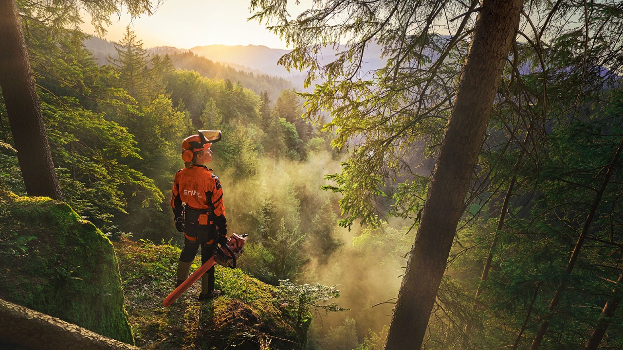 Tre mænd iført personligt beskyttelsesudstyr fra STIHL ved siden af et køretøj med åben bagagerumsklap