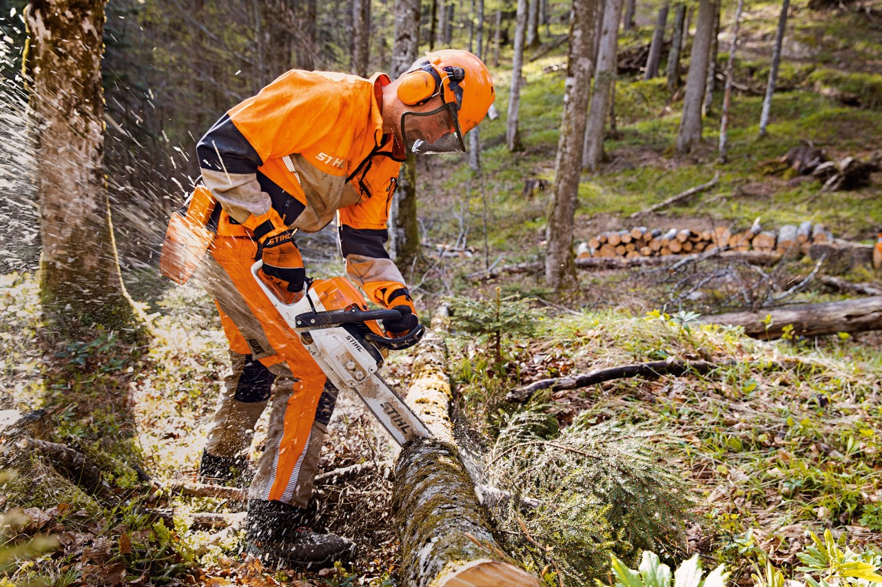 Skovarbejder iført STIHL sikkerhedstøj med Dynamic Vent-bukser (skærebeskyttelsesklasse 1) saver træer i skoven med en STIHL motorsav