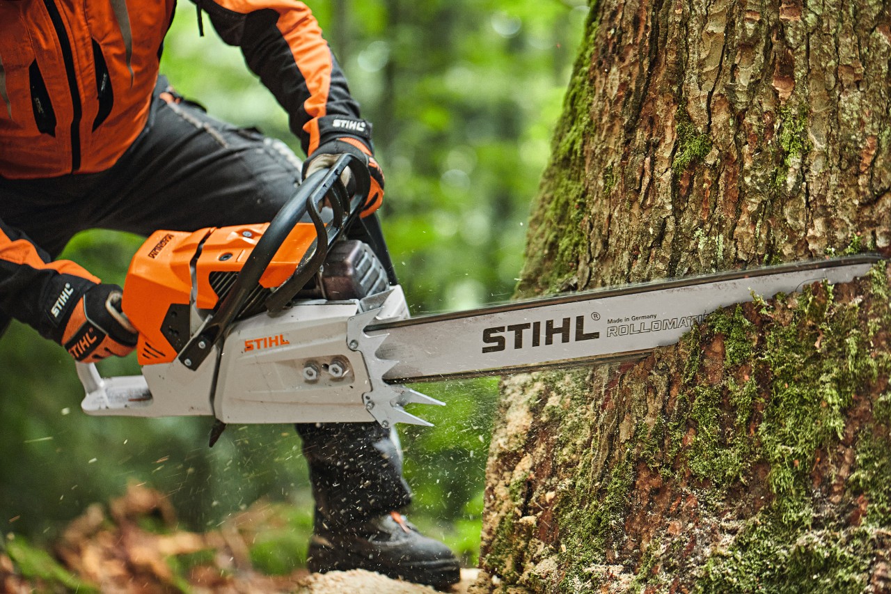 En person saver et træ med en STIHL MS 881 benzinmotorsav med næsesværd