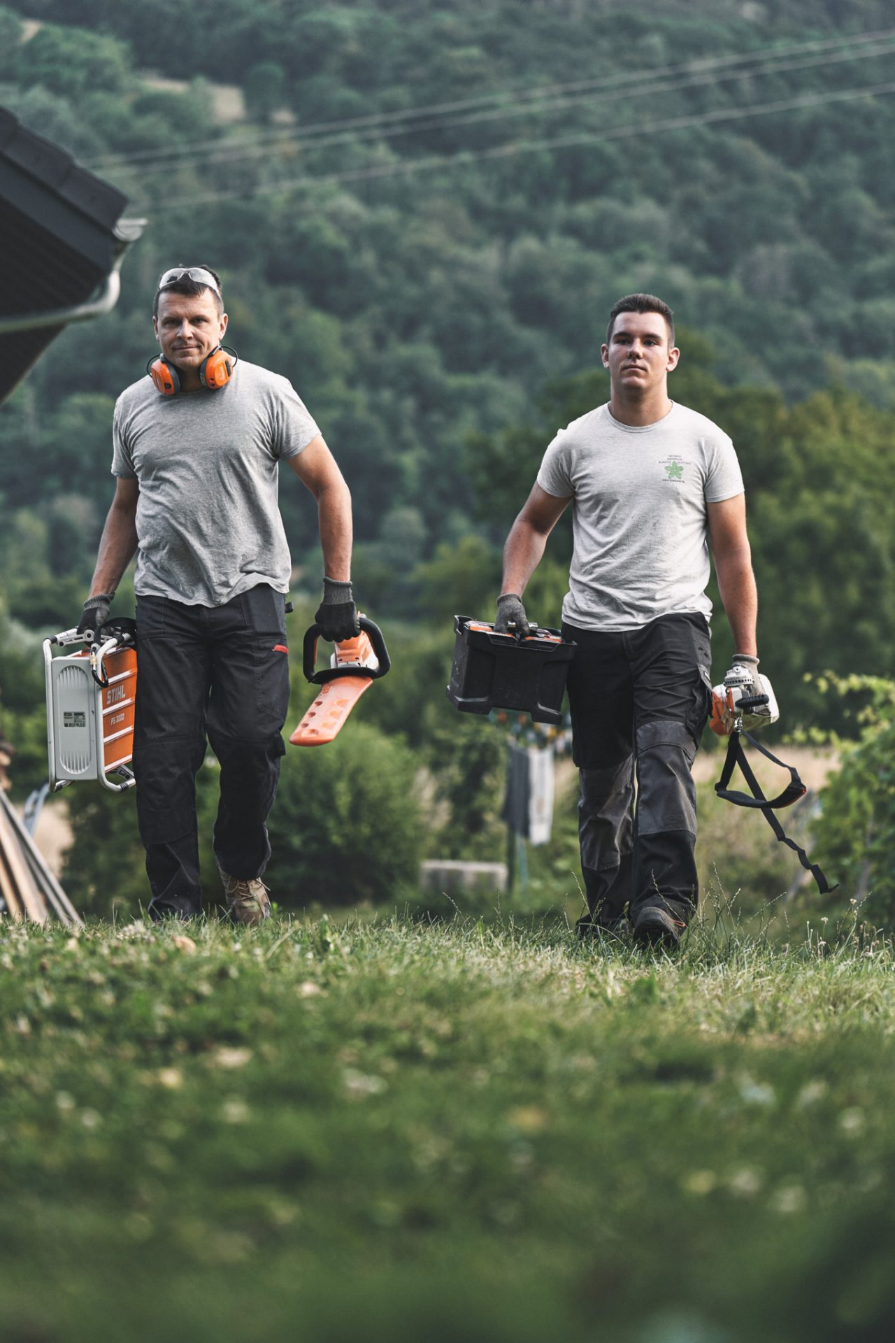 To fagfolk går gennem en mark med STIHL ledningsfri elværktøjer
