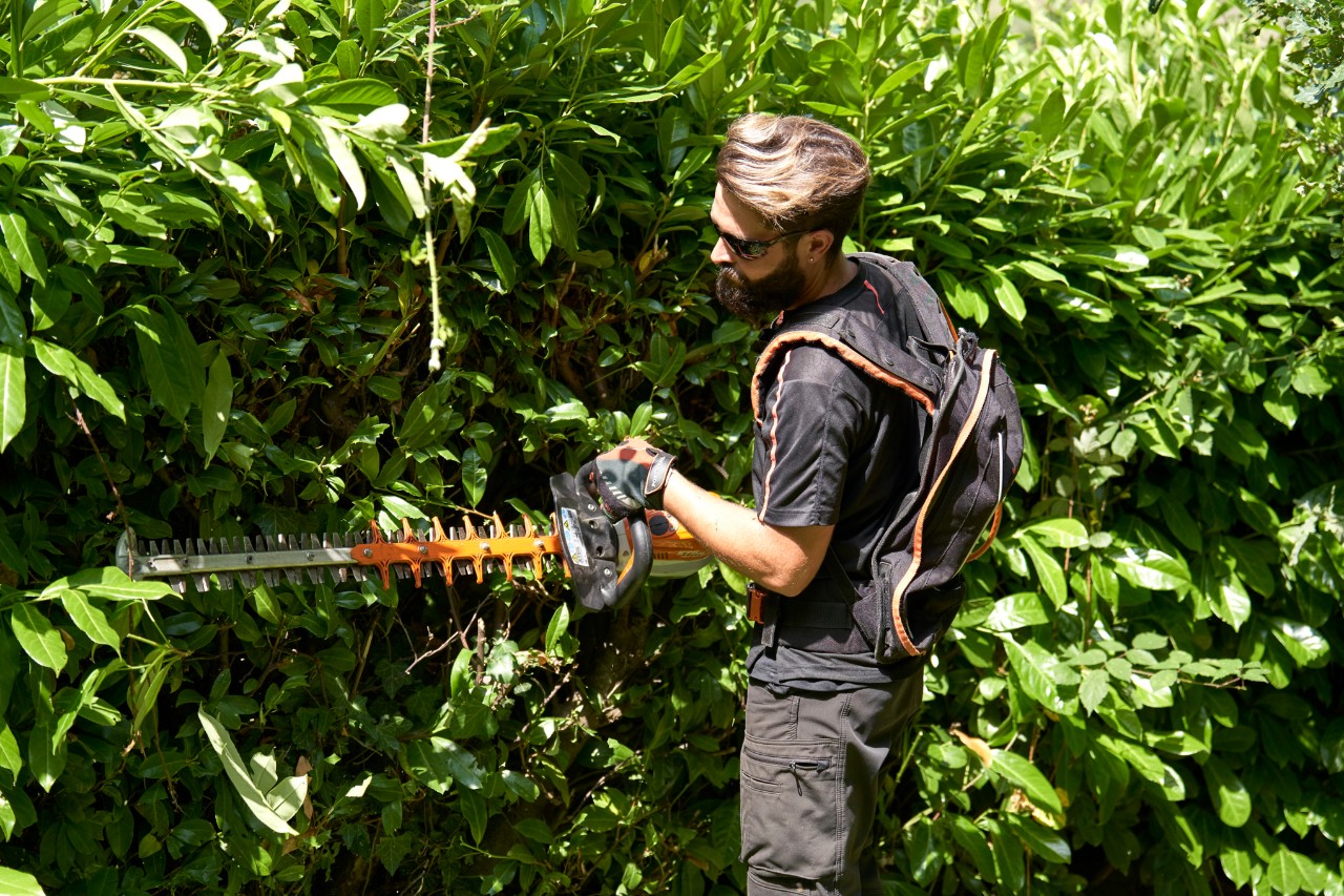 En professionel iført beskyttelsesudstyr klipper en hæk med en STIHL batterihækkeklipper
