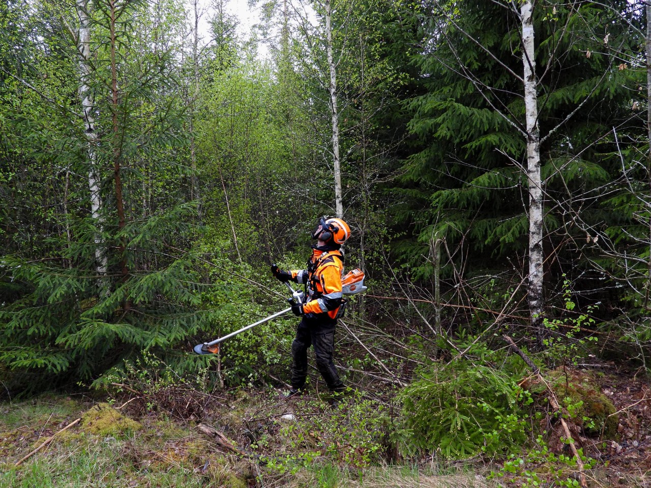 Akkukäyttöiset raivaussahat raivaavat tietä 