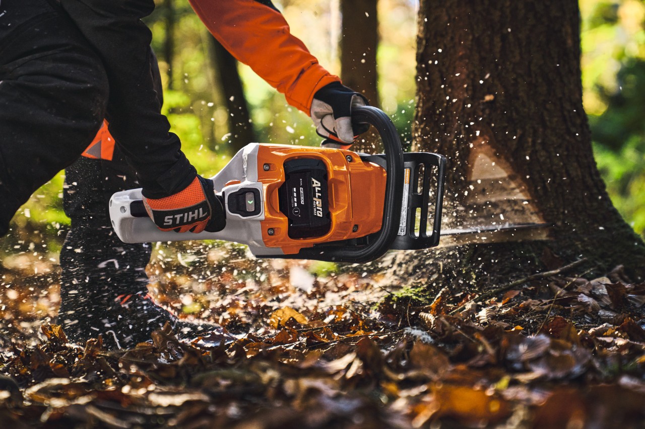 En professionel bruger fælder træer i skoven med den batteridrevne motorsav STIHL MSA 260.