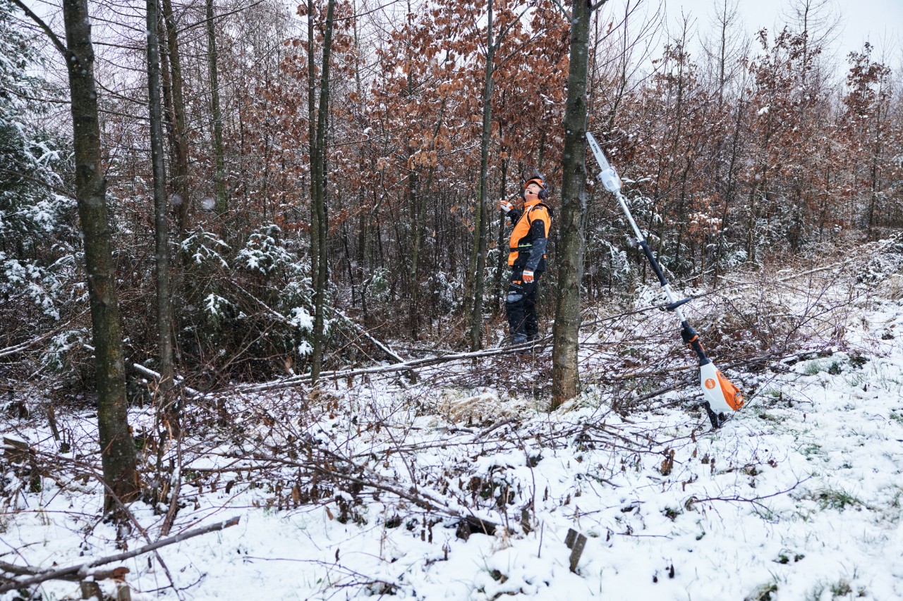 En mand i beskyttelsesudstyr,  der arbejder i en snedækket skov, læner sig op ad en træstamme i forgrunden med en STIHL HTA 150 batteridrevet stangsav