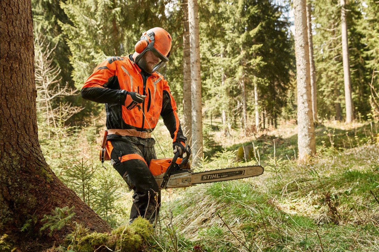 Skovarbejder iført beskyttelsesudstyr med STIHL MS 462 C benzinmotorsav i en nåleskov