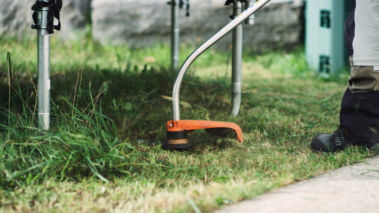 Brug af benzin-buskrydderen STIHL FS 38 til at trimme plænekanter