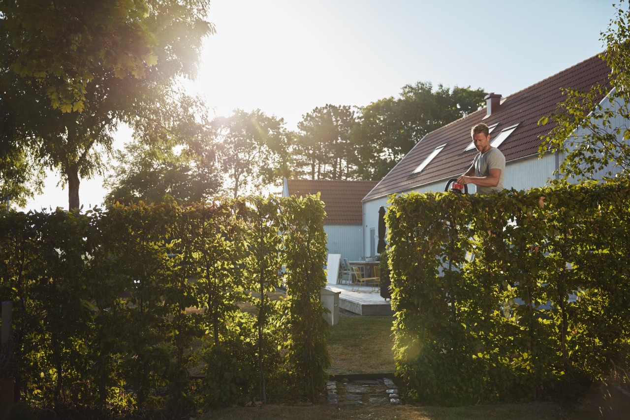 Rätt gräsklippning med den batteridrivna gräsklipparen STIHL 339 C