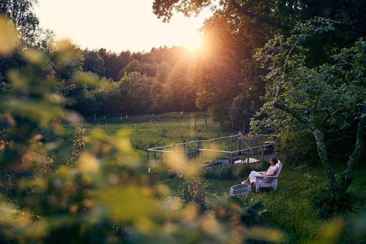 Barnens trädgård
