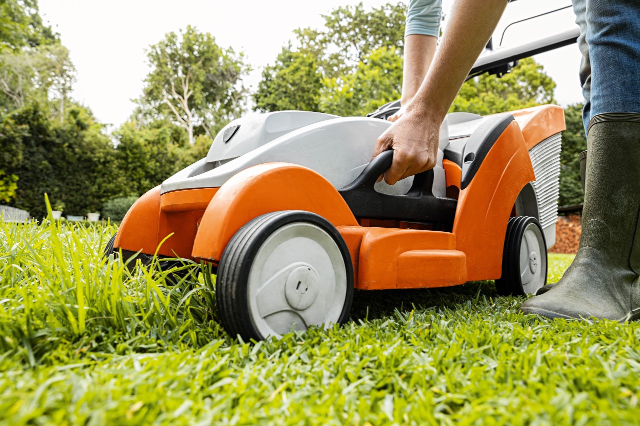  Plæneklipning: En kvinde indstiller klippehøjden på en STIHL batteri-plæneklipper RMA 339 C