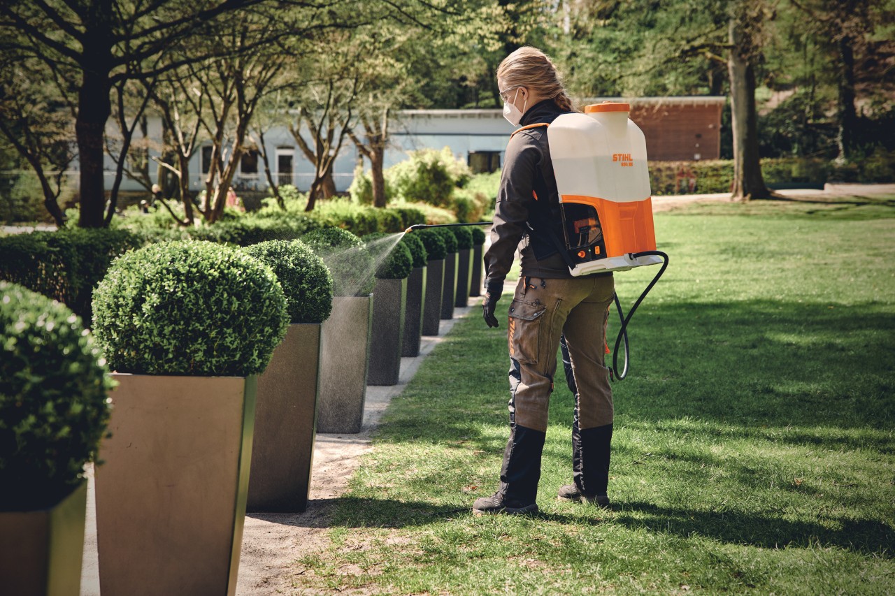 En blond person med mundbind vander med en STIHL-sprøjte figurklippede buske, der kanter en vej på et grønt areal