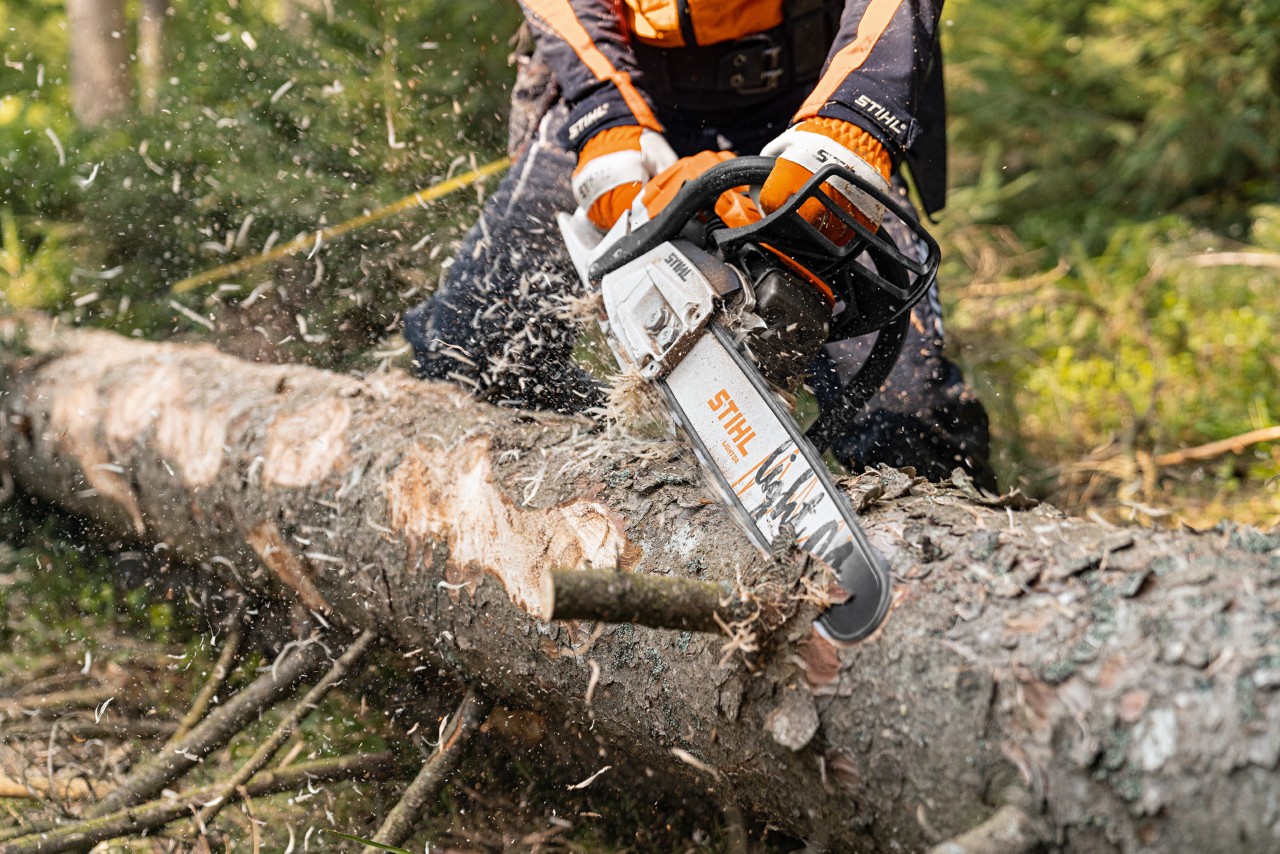 En trädstam barkas med STIHL bensinmotorsåg MS 261 C-M med 2-MIX-motor och svärdet Light 04 i skogen